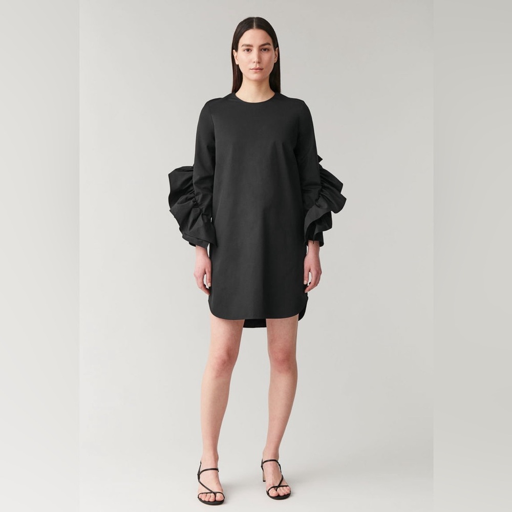 COS Dress With Sleeve Ruffles size 2 - Picture 1 of 6